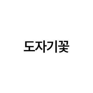 도자기꽃