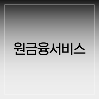 원금융서비스